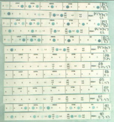 Imagen de tipificacin del ADN