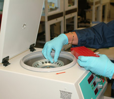 Imagen de equipo de laboratorio siendo utilizado