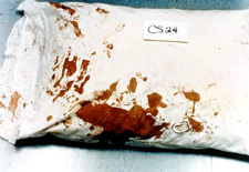 Image of pillow case.