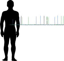 Image of a DNA Profile