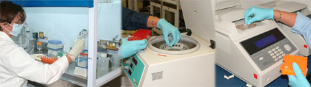Three joined images of DNA Equipment