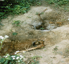 Image of crime scene